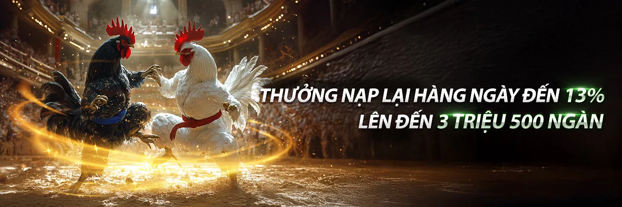 Chương trình đối tác vin888